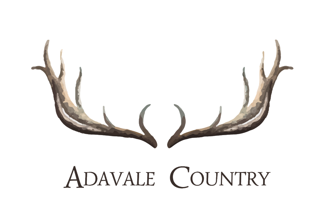 Adavale Country | 692 Main Rd, Edgeworth NSW 2285, Australia | Phone: 0466 233 150