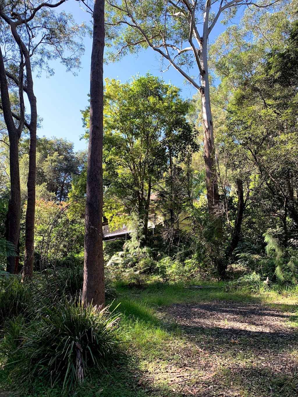 Chilworth Reserve | park | 11-14x, Mary St, Beecroft NSW 2119, Australia