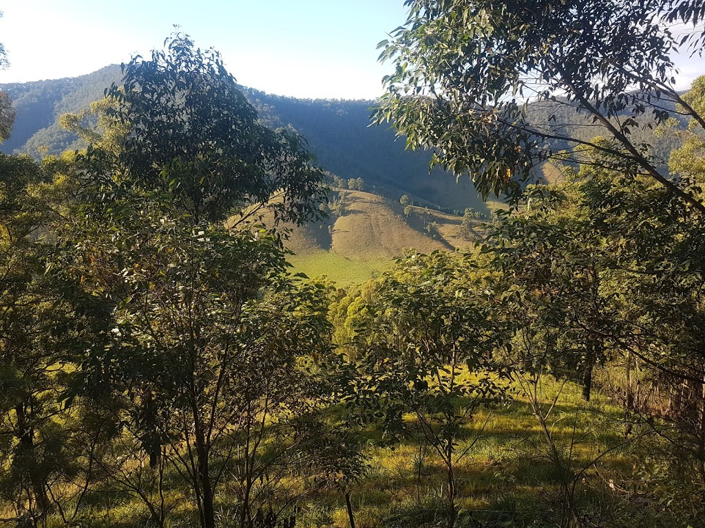 Georges Creek Nature Reserve | park | Jeogla NSW 2350, Australia