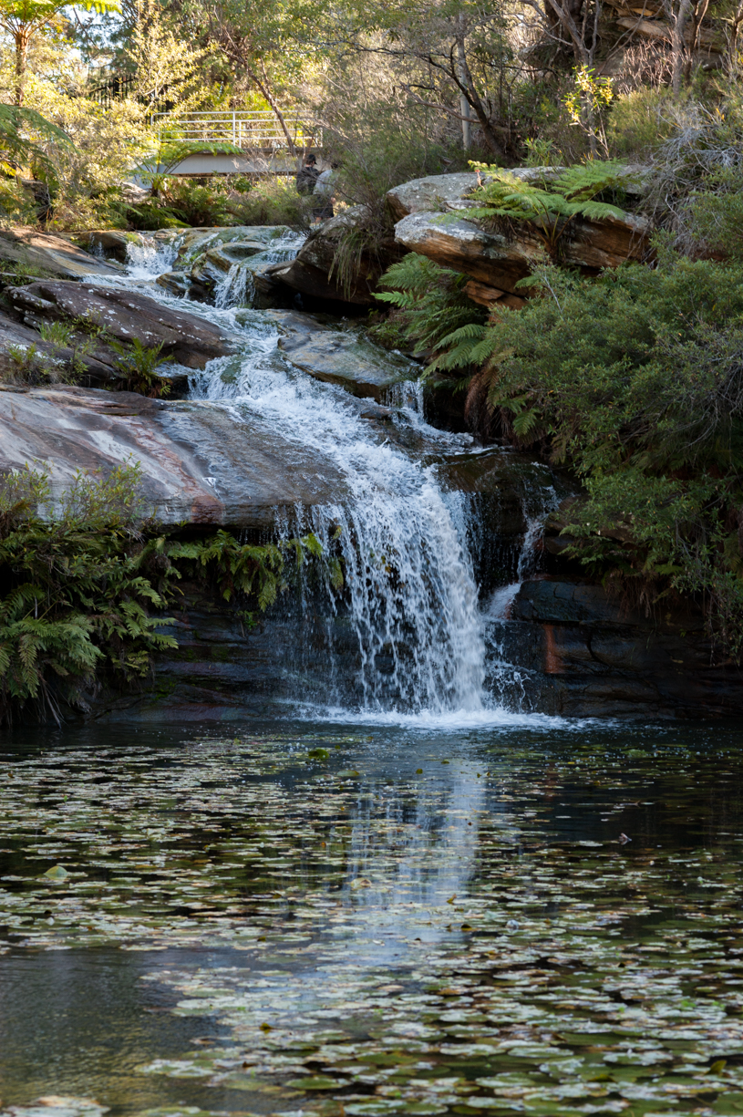 Mermaid Pool | park | 93/97 King St, Manly Vale NSW 2093, Australia