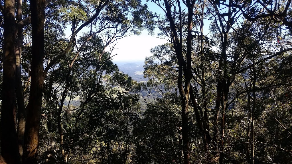 Heaton State Forest | park | Mount Vincent NSW 2323, Australia | 1300655687 OR +61 1300 655 687