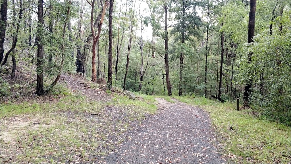 Bidjigal Reserve | 14 Heidi Pl, West Pennant Hills NSW 2125, Australia