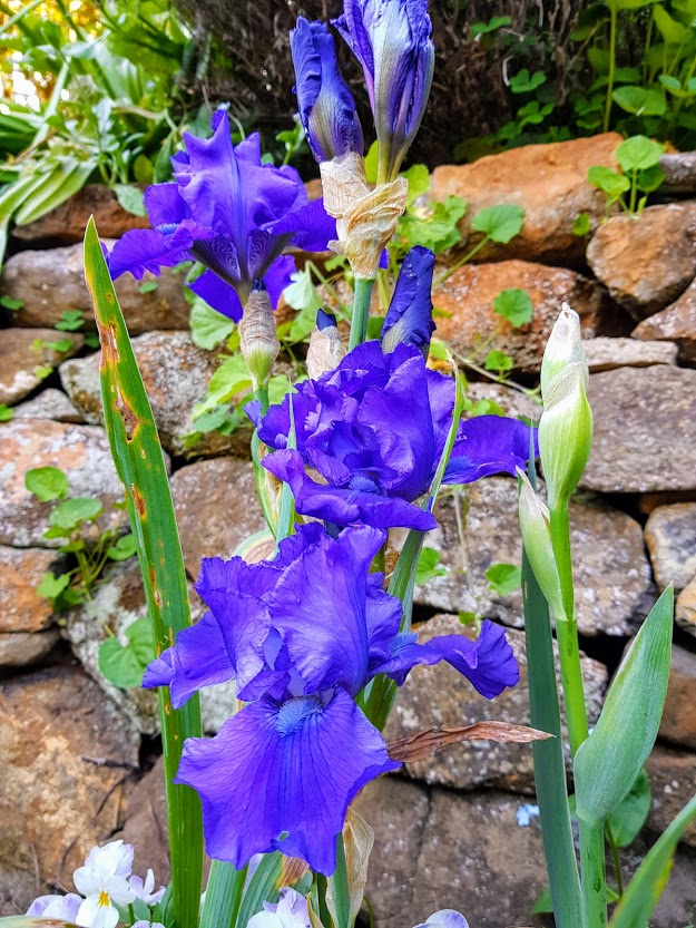 Blooming Habit |  | Harrow Glen, 33 Missingham Parade, Robertson NSW 2577, Australia | 0423930090 OR +61 423 930 090