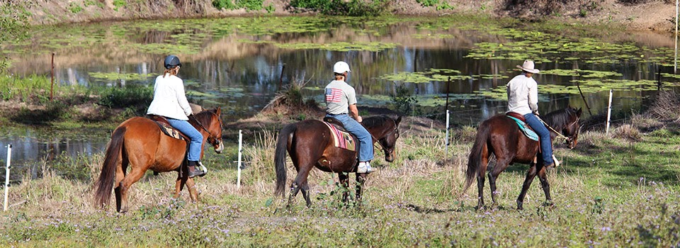 Curra Ridge Horse Rides |  | 163 Ashfords Rd, Curra QLD 4570, Australia | 0413213902 OR +61 413 213 902