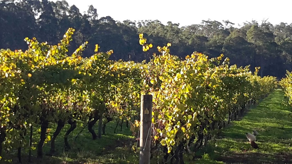 Firetail Wines | 21 Bessell Rd, Rosa Glen WA 6285, Australia | Phone: (08) 9757 5156