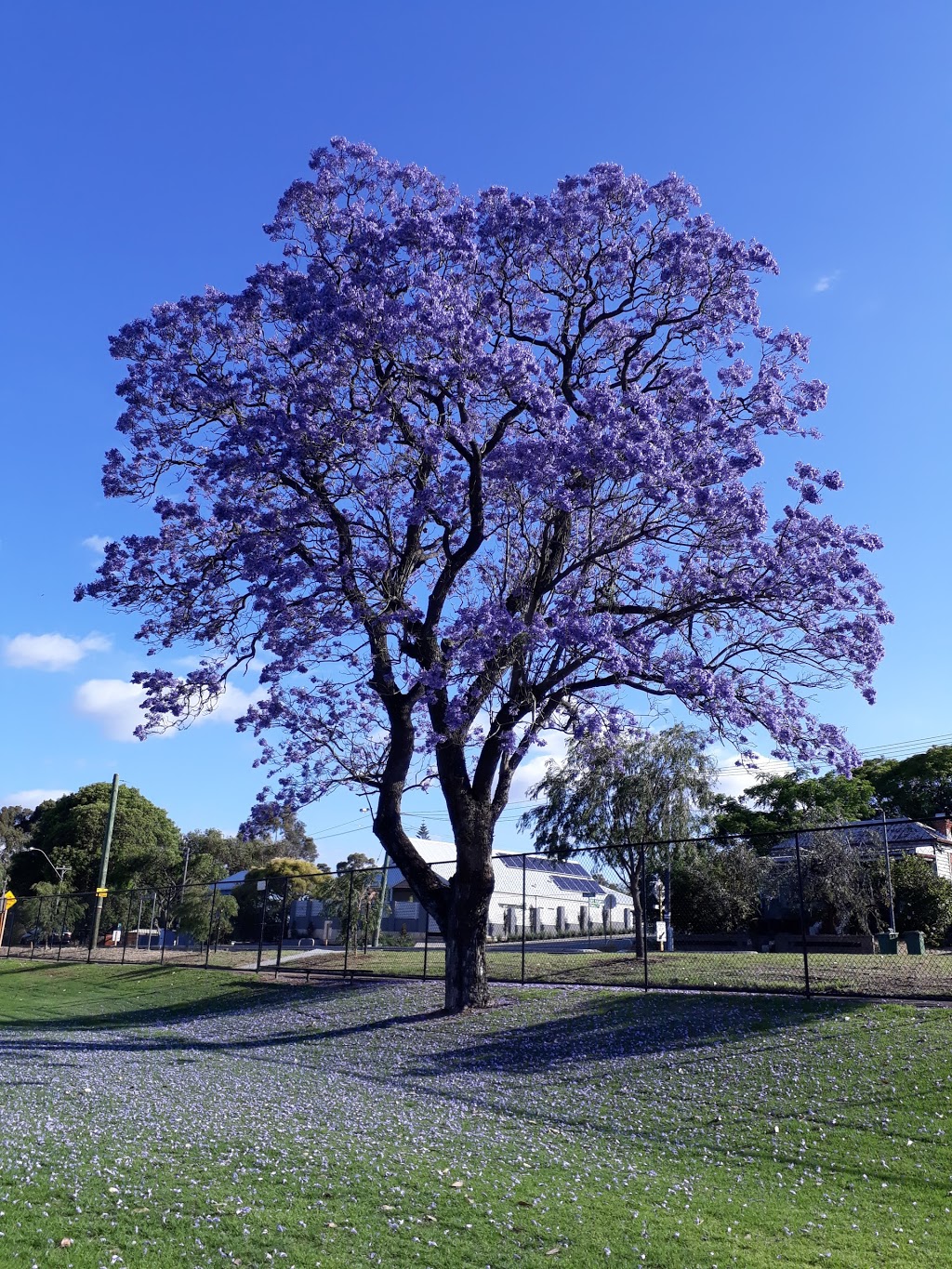 Halliday Park | Bayswater WA 6053, Australia