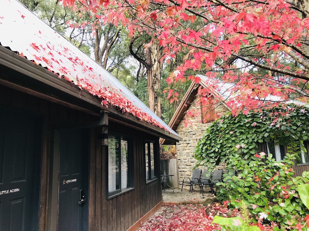 Sun-Kissed Forest Garden | 10 Stewart Rd, Emerald VIC 3782, Australia | Phone: 0450 424 796