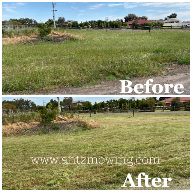 Antz Mowing & Garden Services | Tall Tree Rd, Lethbridge VIC 3332, Australia | Phone: 0422 248 971