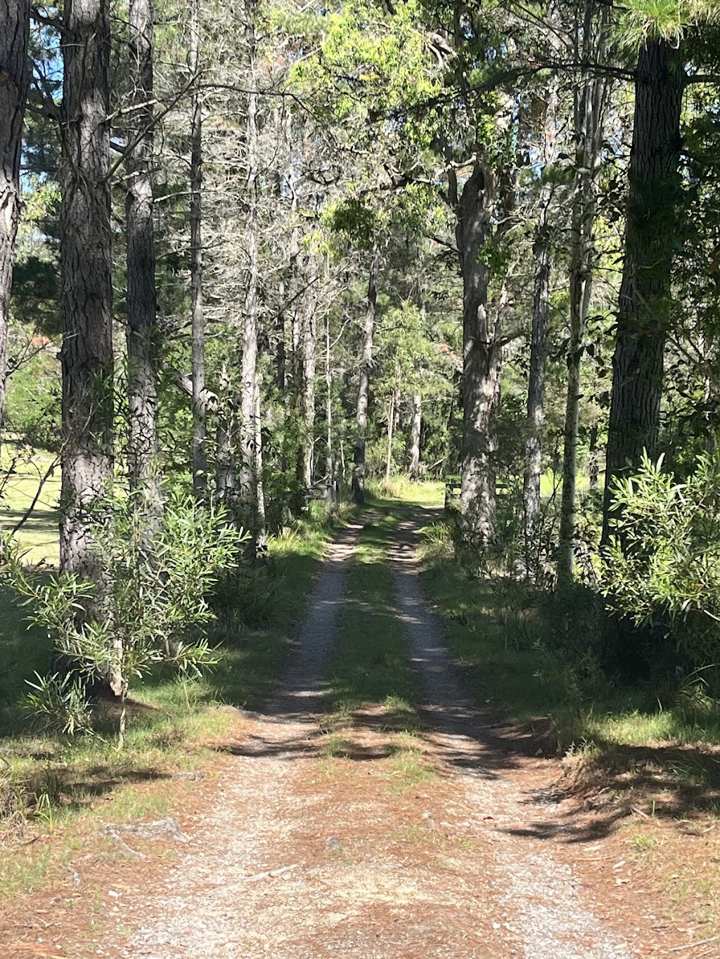 Karin Krueger Psychotherapy and Counselling (holistic practice) | 82 Pollwombra Rd, Moruya NSW 2537, Australia | Phone: 0419 991 267