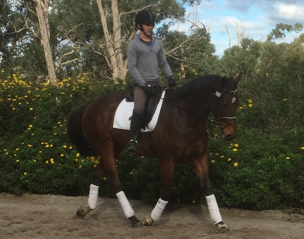 KW Horse Breaking & Training | 62 Double Jump Rd, Victoria Point QLD 4165, Australia | Phone: 0439 536 805