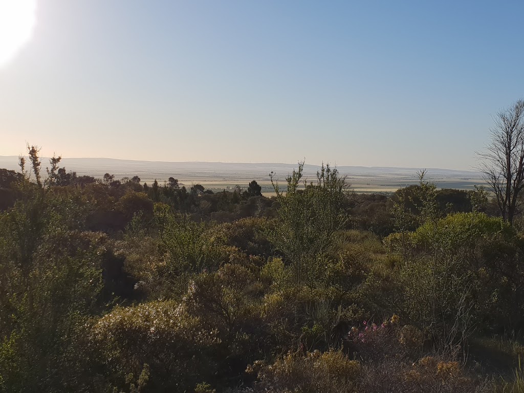 Brooks lookout | 96 Old Blyth Rd Boconnoc Park Old Blyth Rd, Boconnoc Park SA 5453, Australia