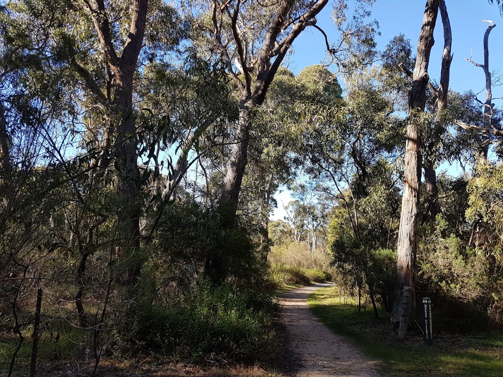 Blackburn Lake Sanctuary | park | Blackburn VIC 3130, Australia | 0398984802 OR +61 3 9898 4802