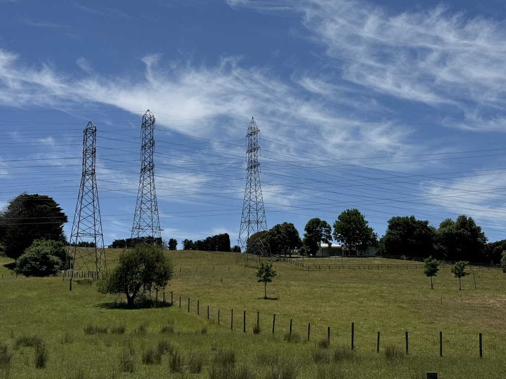 Mt Ararat Simmentals | 126 Mount Ararat N Rd, Nar Nar Goon North VIC 3812, Australia | Phone: 0409 537 445