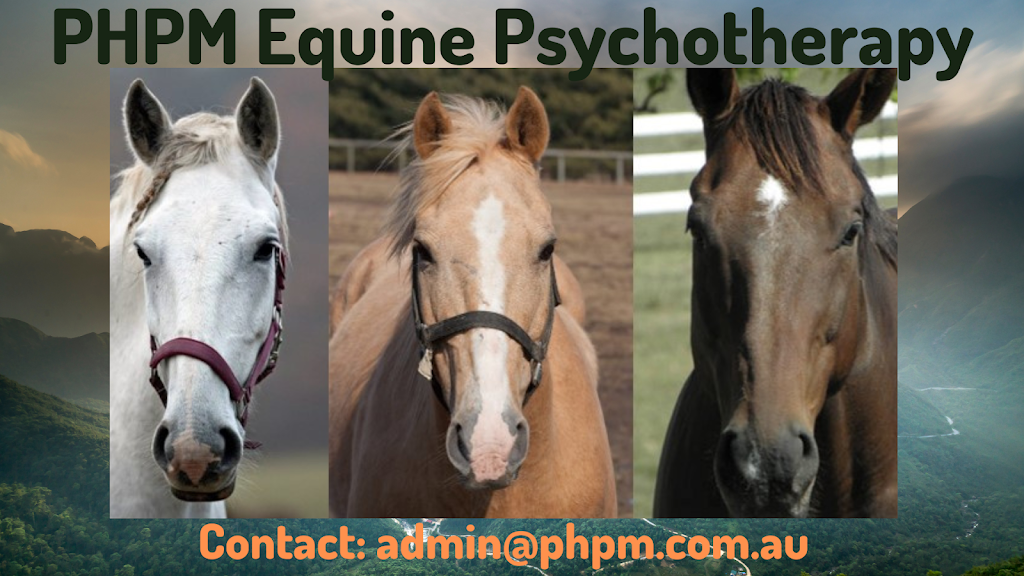 Giddy Up Farm | 2 Nelson Ln, Laidley Creek West QLD 4341, Australia | Phone: 0419 679 465