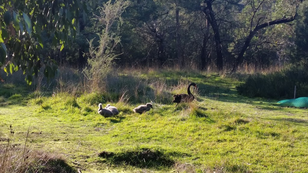 Briars Wildlife Sanctuary | park | Wetland Walk, Mount Martha VIC 3934, Australia