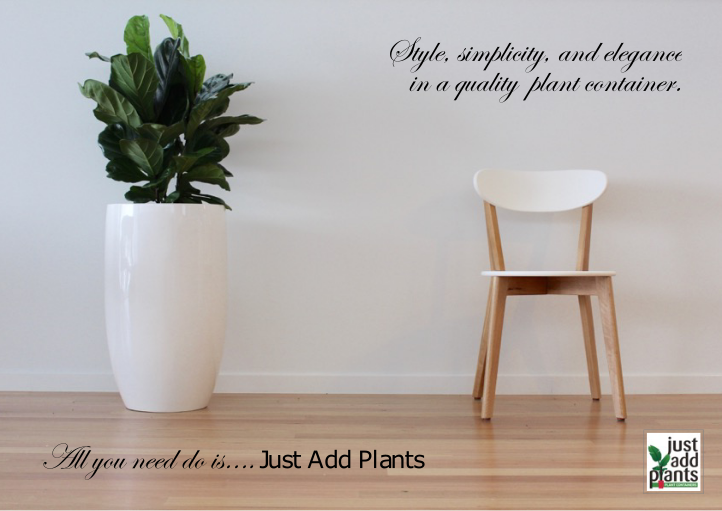 Just Add Plants | Unit 11/348 S Pine Rd, Brendale QLD 4500, Australia | Phone: 0420 935 953