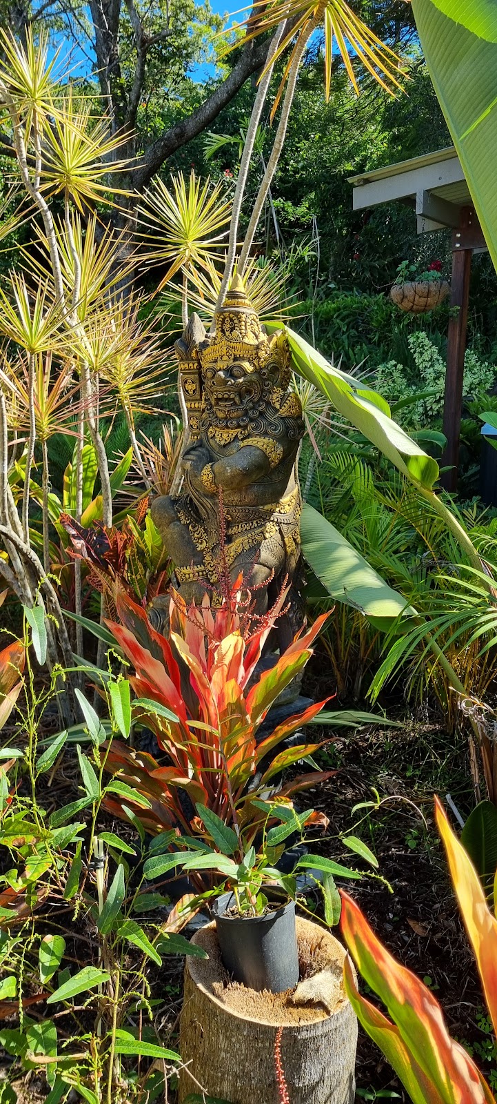 Healing Garden Bathhouse | 11A Monday Dr, Tallebudgera Valley QLD 4228, Australia | Phone: 0488 428 888