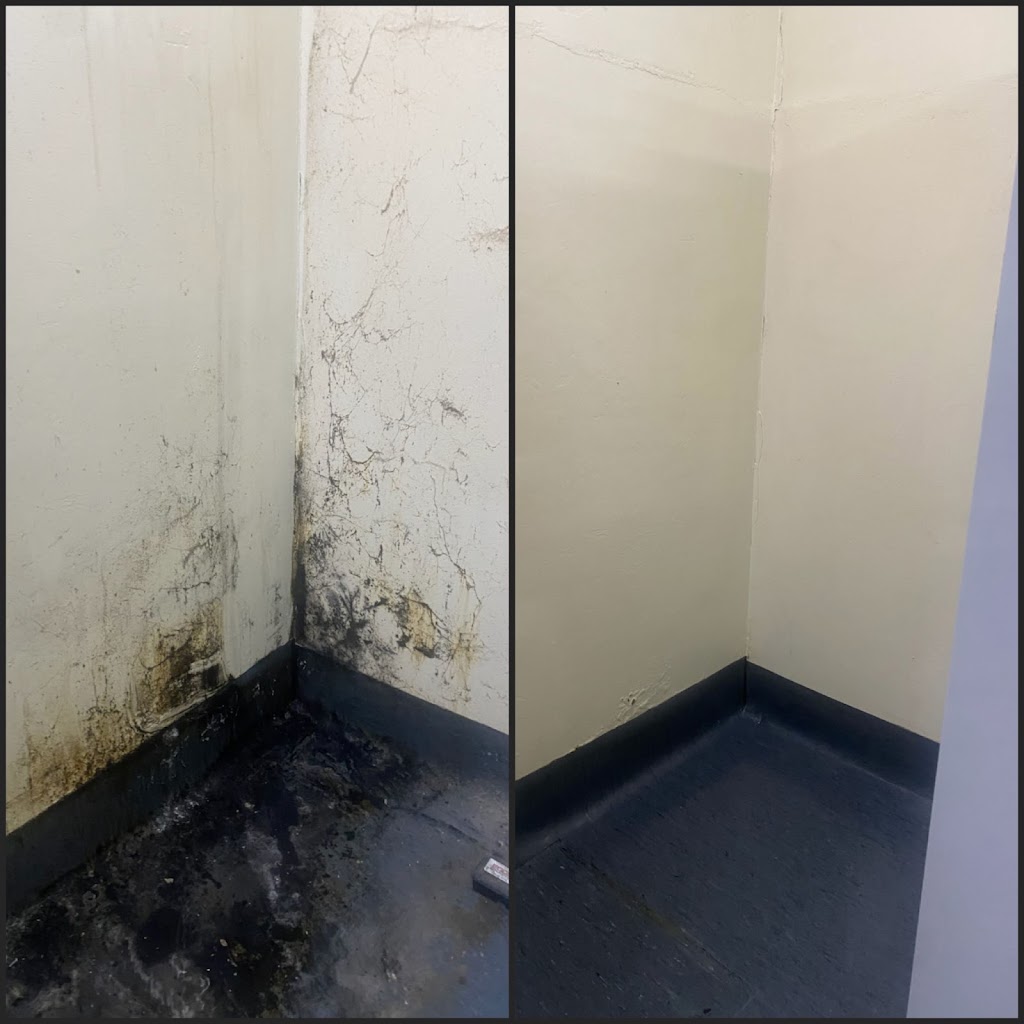 Wheres Wally Cleaning | 4991 Frankford Rd, Thirlstane TAS 7307, Australia | Phone: 0455 672 675