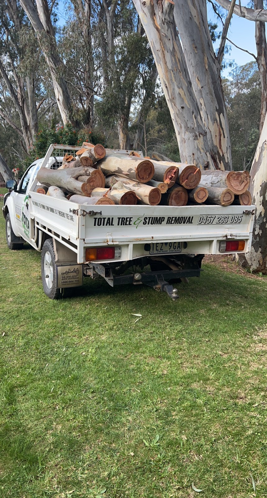 Total Tree & Stump Removal pty Ltd | 60 Robinson St, Murchison VIC 3610, Australia | Phone: 0457 283 085