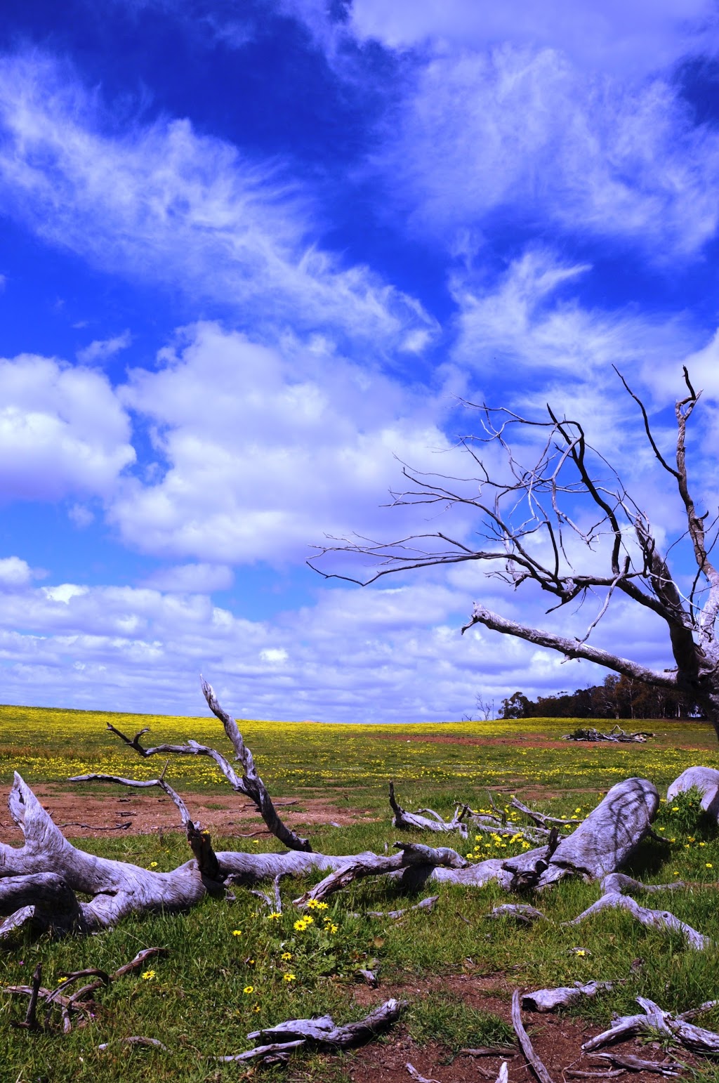 Mokine Nature Reserve | park | Mokine WA 6401, Australia