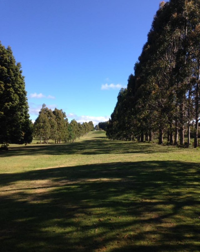 Mountain Vista Golf Club - Waratah | 20 Camp Rd, Waratah TAS 7321, Australia | Phone: 0467 062 707