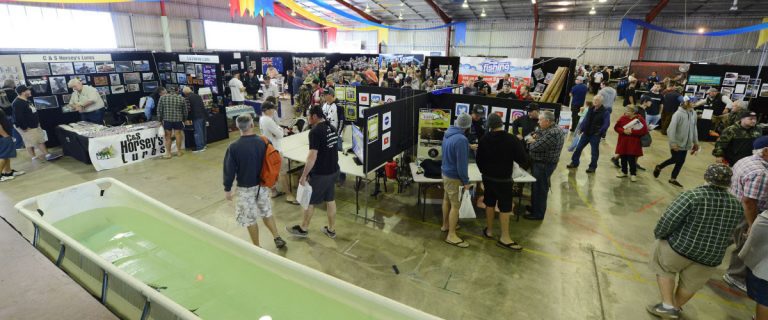 Australian Lure Fly & Outdoors Expo | store | 32 Banks Creek Rd, Fernvale QLD 4306, Australia | 0427139290 OR +61 427 139 290