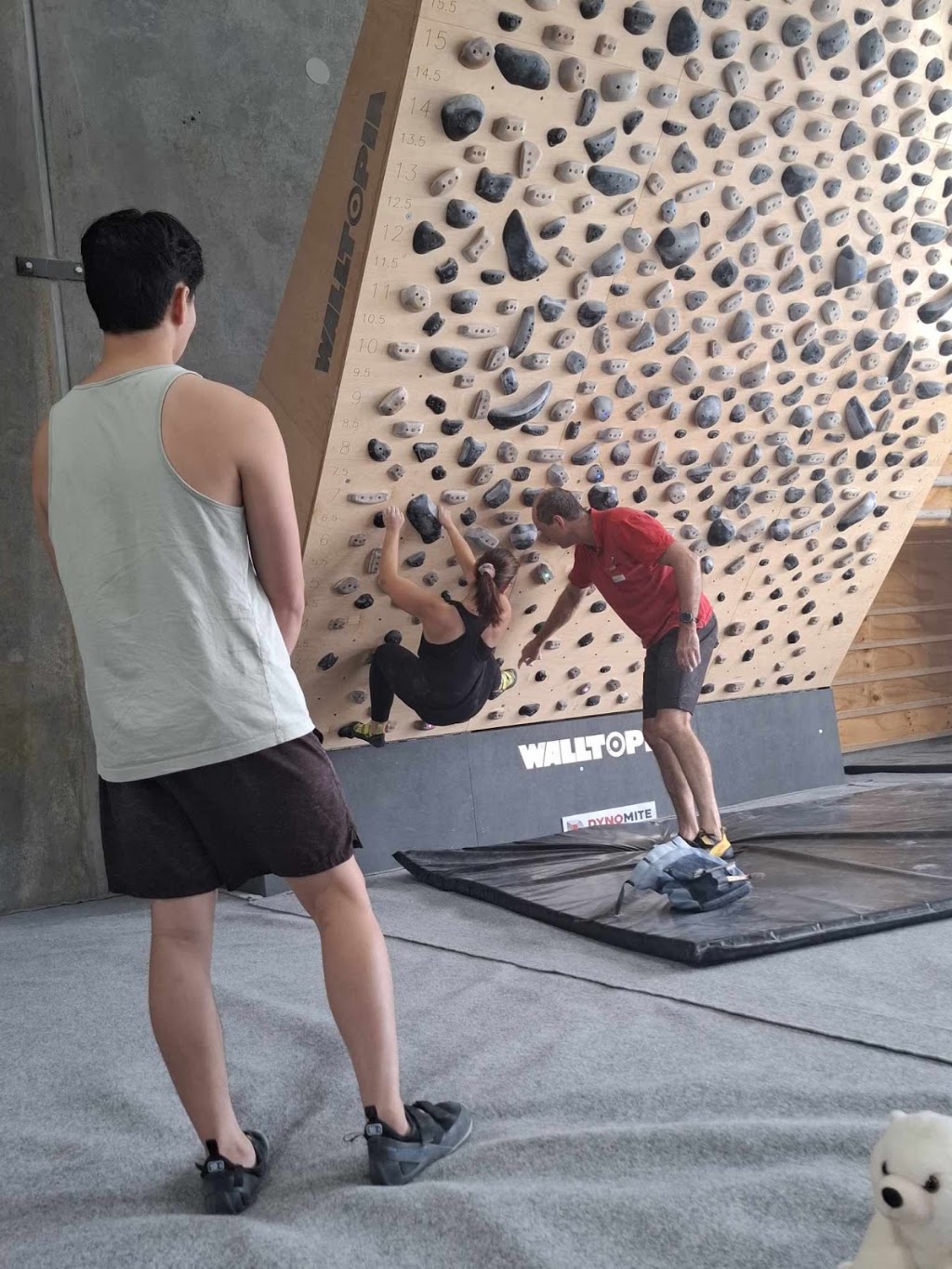 Dynomite Indoor Bouldering Gym Albion Park Rail | 114 Princes Hwy, Albion Park Rail NSW 2527, Australia | Phone: 0422 536 801