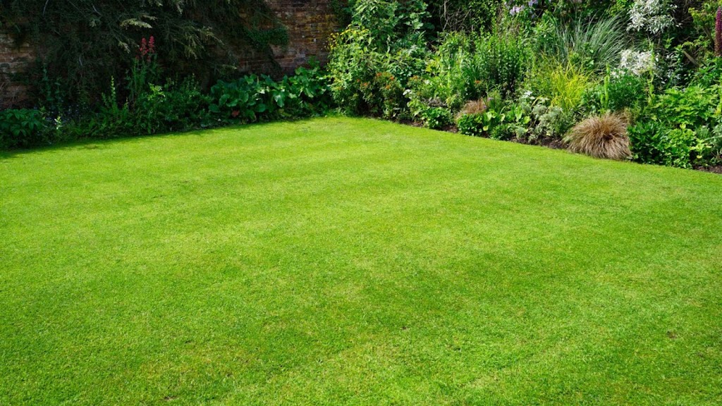 Budget Lawn Mowing Doveton |  | 17 Clarke Rd, Springvale South VIC 3172, Australia | 0390000525 OR +61 3 9000 0525
