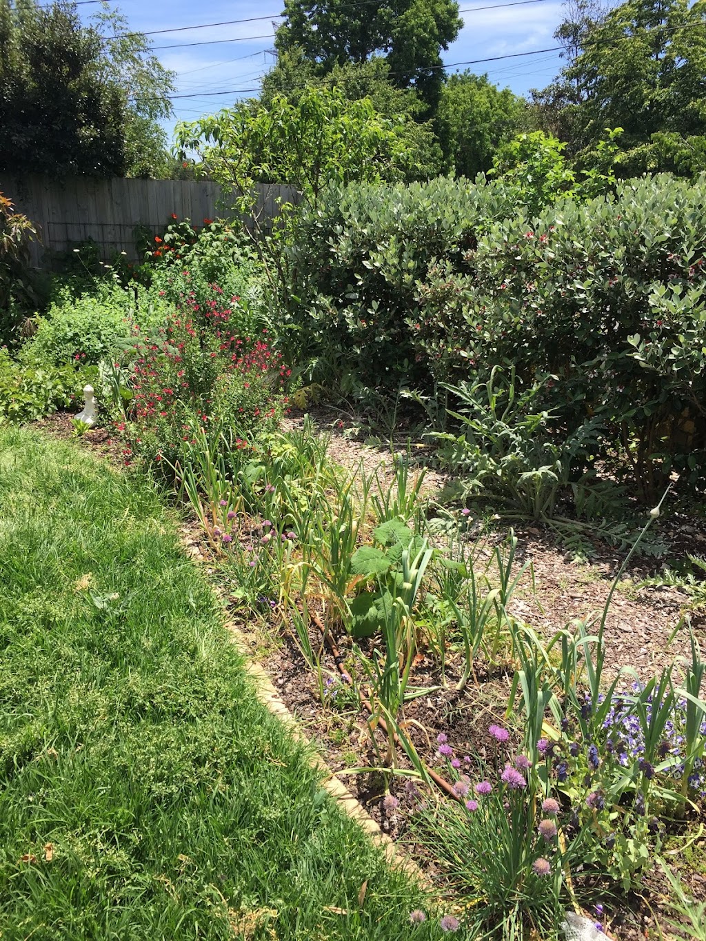Golden Dawn Permaculture | 14a Hyde St, Fernmount NSW 2454, Australia | Phone: 0435 298 679