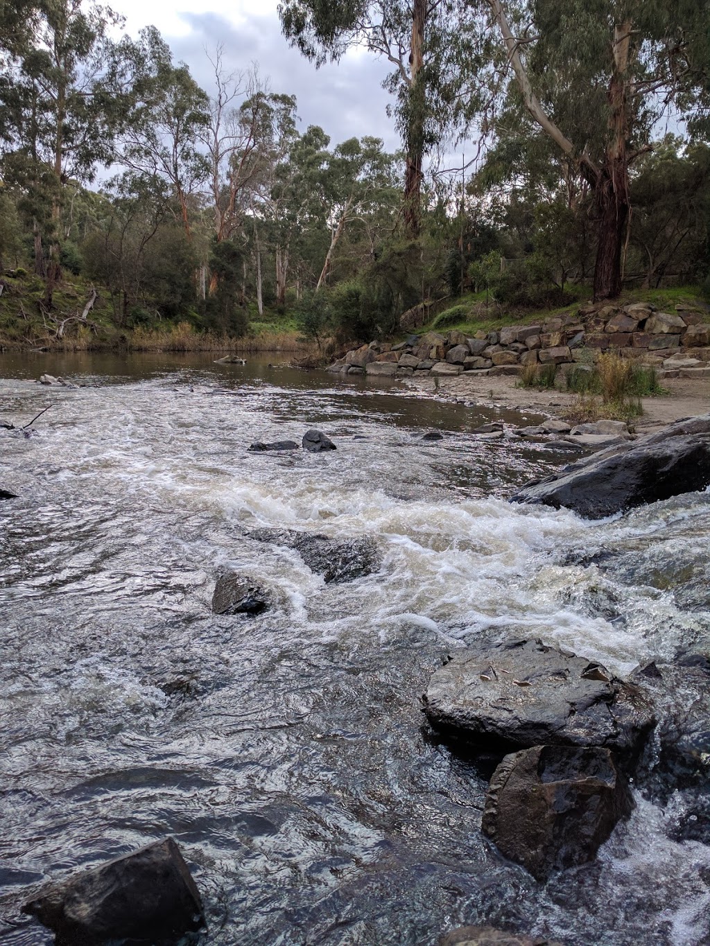 Warrandyte State Park | park | Pound Bend Rd, Warrandyte VIC 3113, Australia | 131963 OR +61 131963