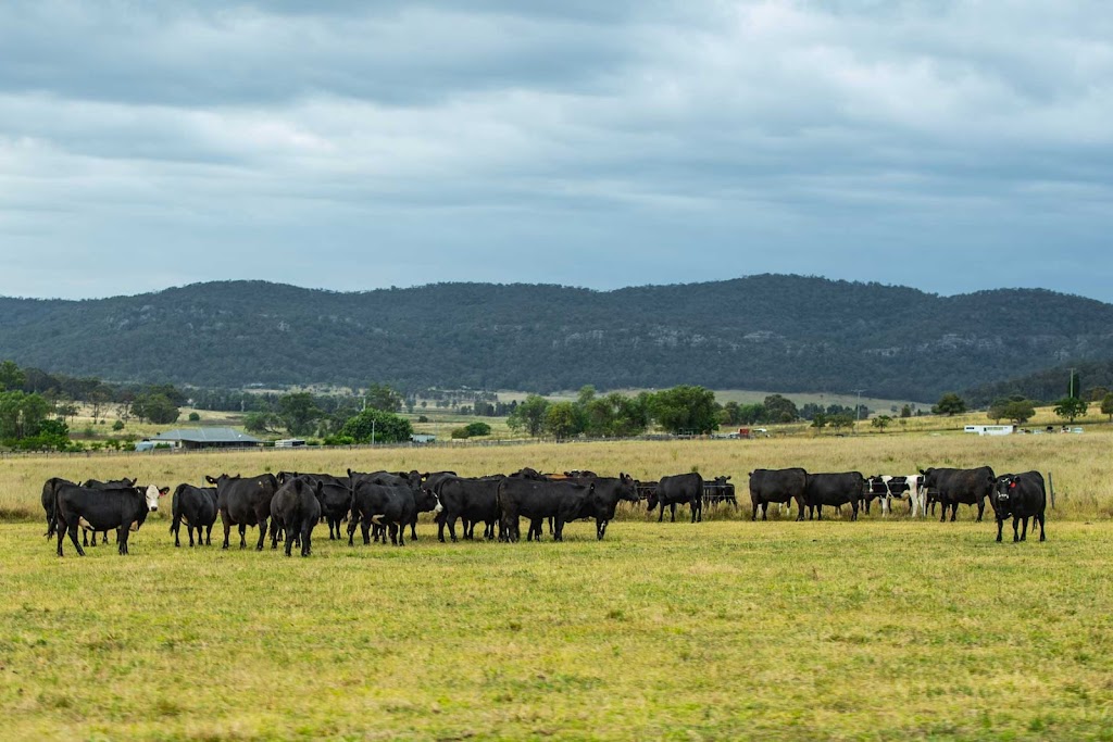 Fettayleh Farm | food | 380 Ferndale Rd, Yarrawa NSW 2328, Australia | 1300042525 OR +61 1300 042 525