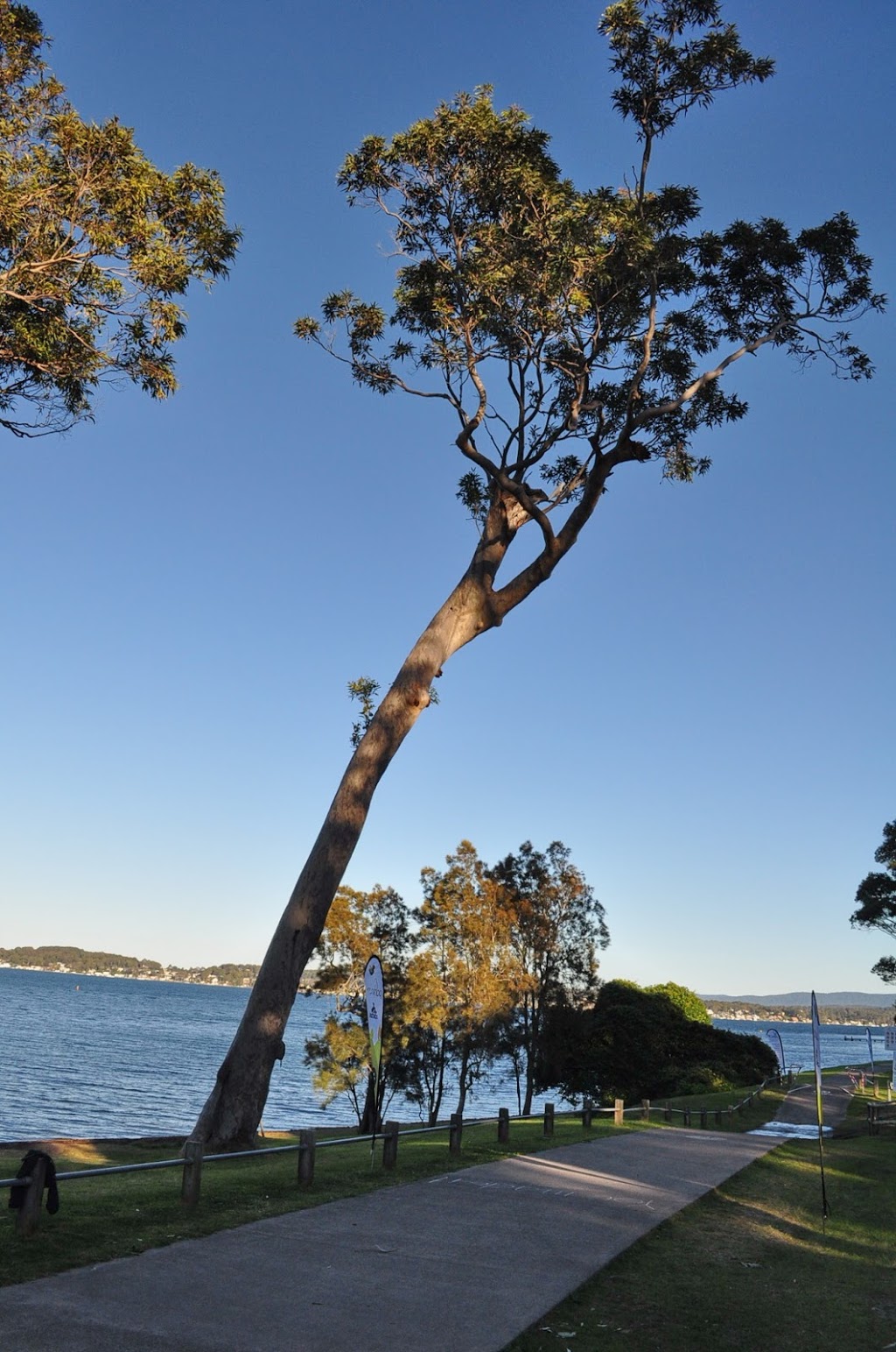 Lakeview parkrun | health | The Shores Way, Belmont NSW 2280, Australia