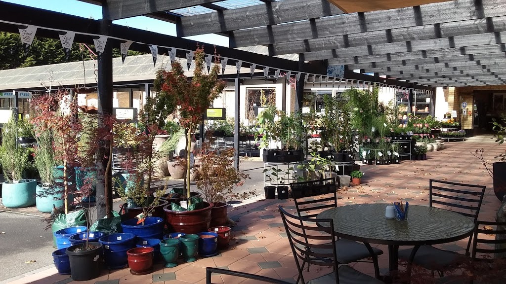 Riverview Nursery. | store | 31 Forth Rd, Don TAS 7310, Australia | 0364245847 OR +61 3 6424 5847