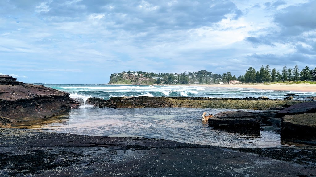 Eric Green Reserve | park | Newport NSW 2106, Australia