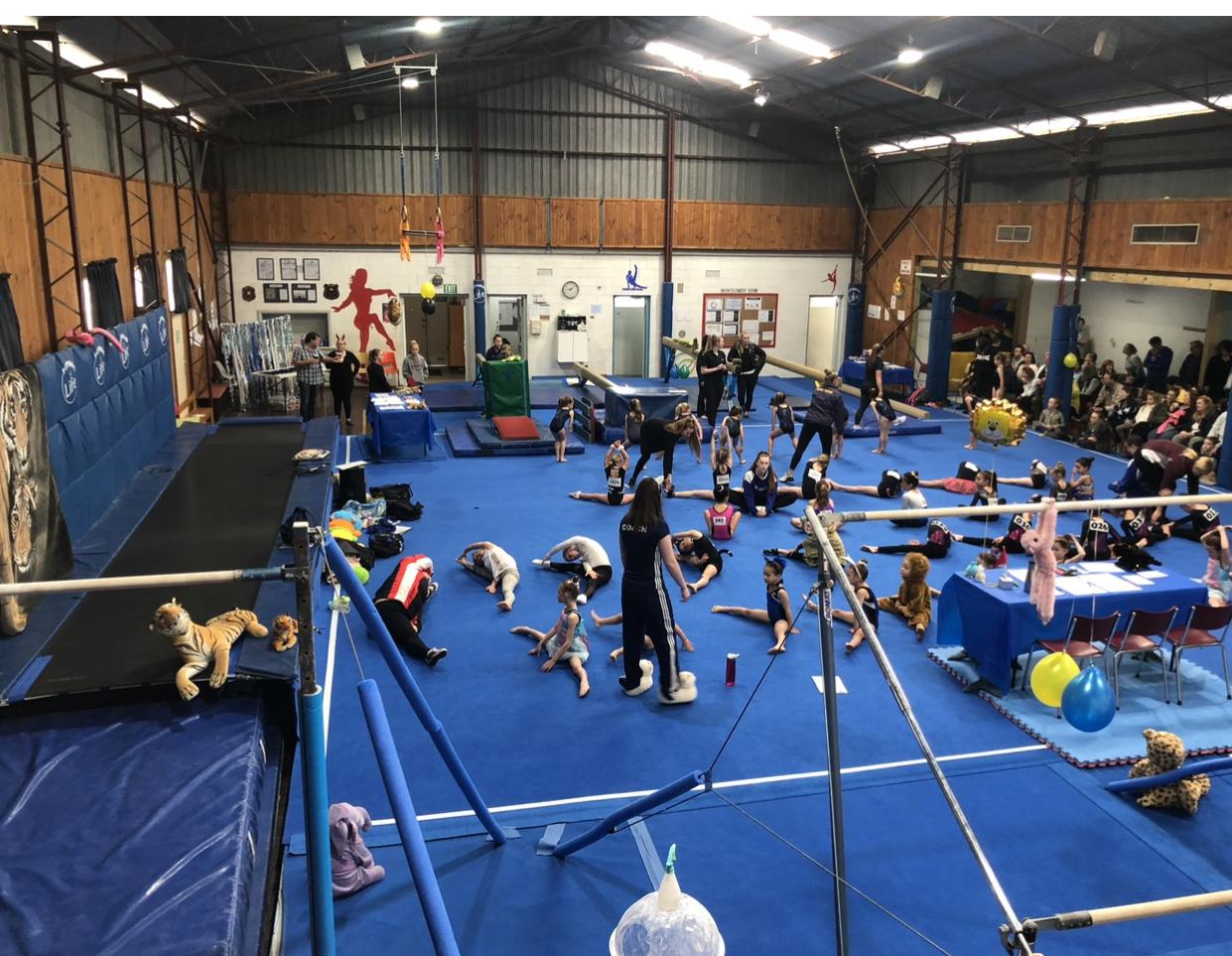 All Boys and All Girls Club - Queenstown Gymnastics | gym | 131 Long St, Queenstown SA 5014, Australia | 0403354075 OR 