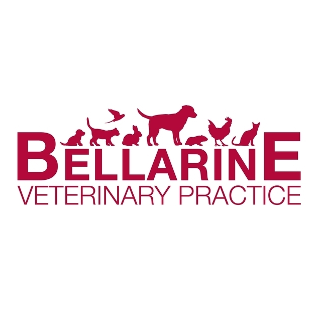 Bellarine Veterinary Practice | 103 Bellarine Hwy, Point Lonsdale VIC 3225, Australia | Phone: (03) 5258 4862