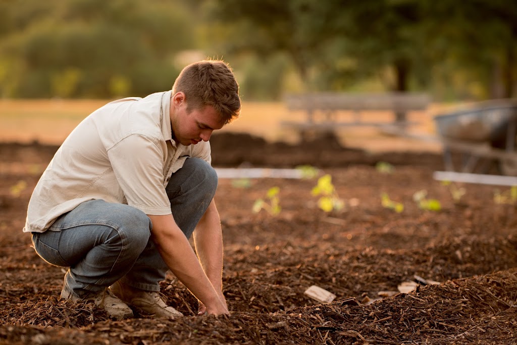 Nutrarich | Swan Valley Landscape Supplies, 1118 Great Northern Hwy, Baskerville WA 6056, Australia | Phone: (08) 9296 0085