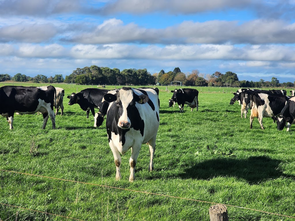 Jaileigh Pty Ltd | 110 Eight Mile Rd, Nar Nar Goon VIC 3812, Australia | Phone: 0438 627 179