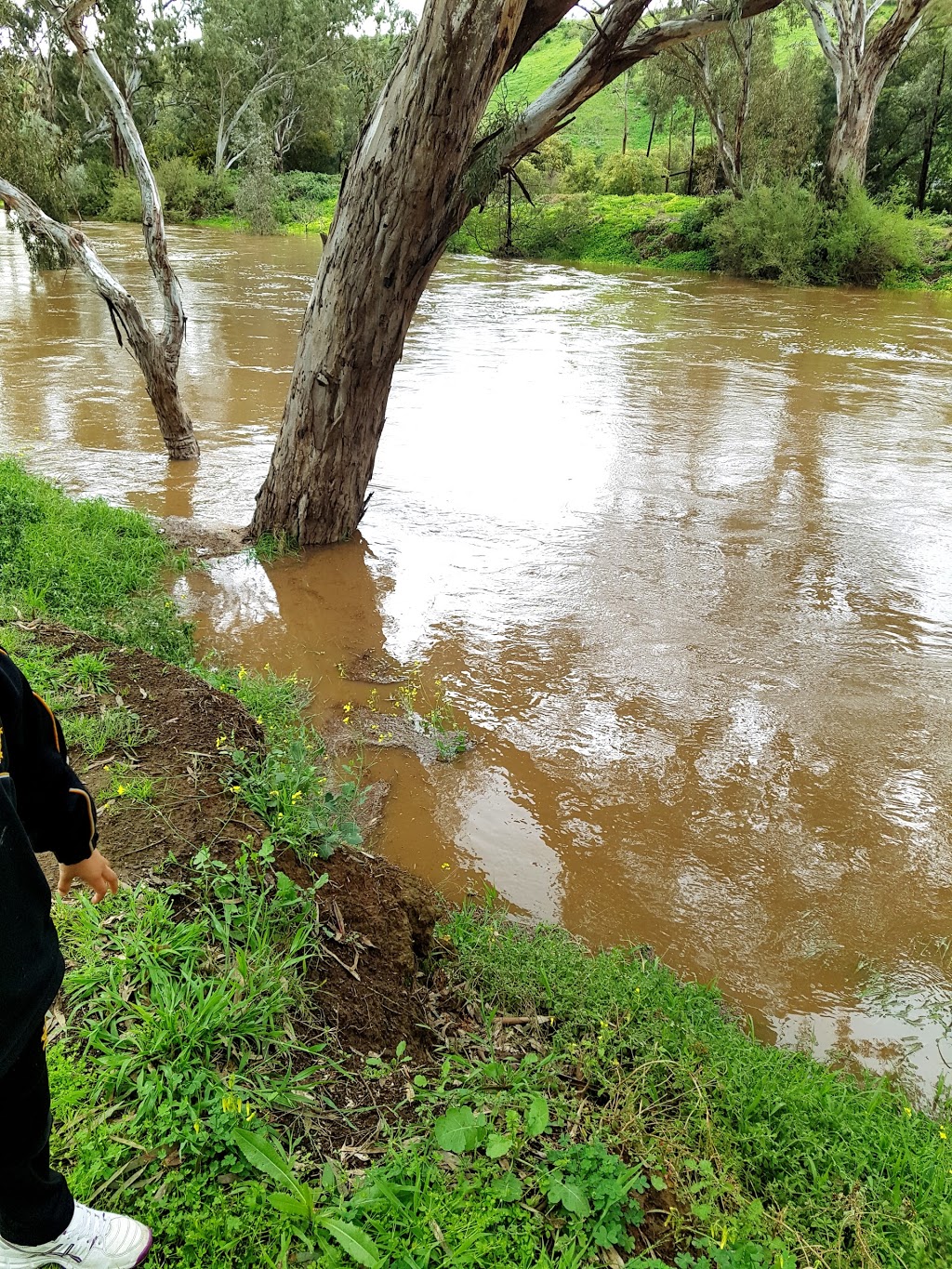 Rupert Vance Moon Reserve | park | 659 Bacchus Marsh Rd, Bacchus Marsh VIC 3340, Australia