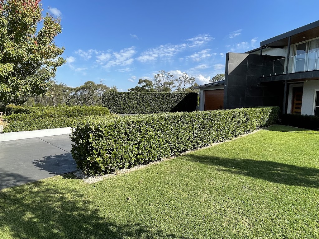 Golden Leaf Gardening | 13 Crane St, Springwood NSW 2777, Australia | Phone: 0401 666 303