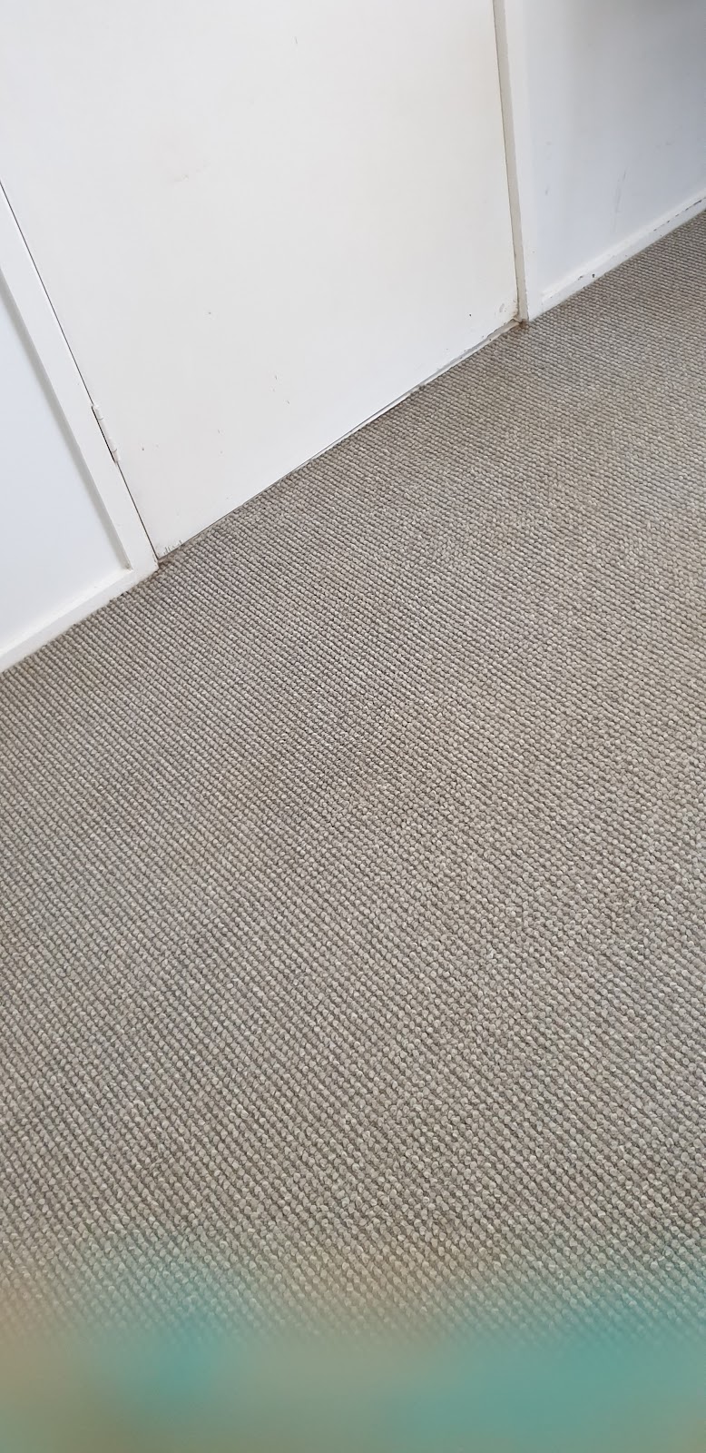 Dynamic Carpet Cleaners | 66 Coomera Gorge Dr, Tamborine Mountain QLD 4272, Australia | Phone: 0408 061 282