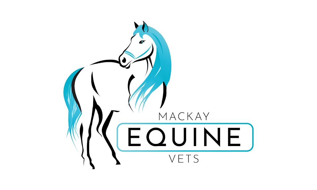 Mackay Equine Vets | 238 Doyles Rd, Balnagowan QLD 4740, Australia | Phone: 0458 806 183