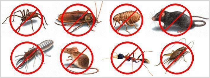 Raingate Pest Control & cleaning services |  | 23 Phoenix Ave, Beaumont Hills NSW 2155, Australia | 0434555709 OR +61 434 555 709