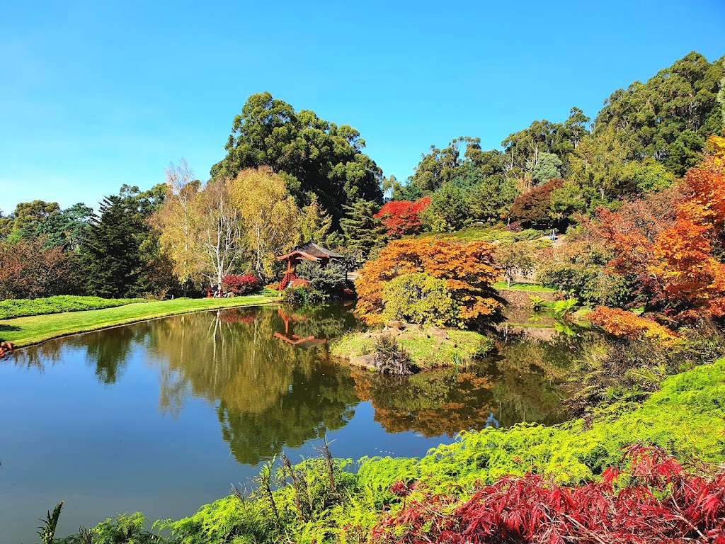 Emu Valley Rhododendron Garden | 55 Breffny Rd, Romaine TAS 7320, Australia | Phone: (03) 6433 1805