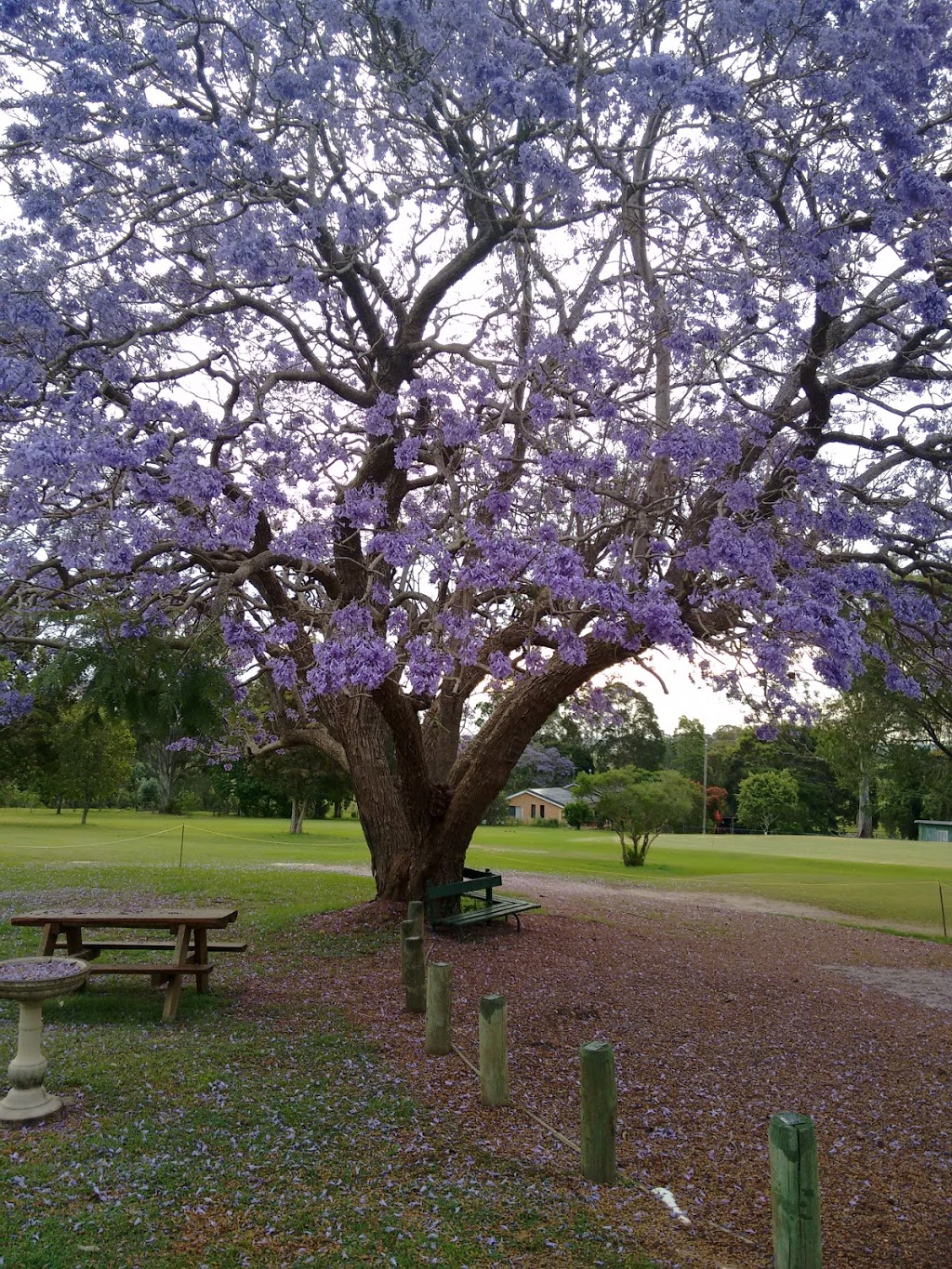 Maclean Golf Club | Golf Links Rd, Maclean NSW 2463, Australia | Phone: (02) 6645 2183