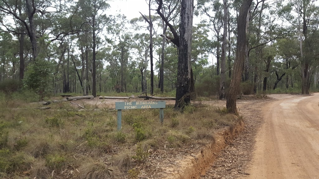 The Ironbarks Picnic Area |  | The Oaks Trail Glenbrook, Blue Mountains National Park NSW 2773, Australia | 0247206200 OR +61 2 4720 6200