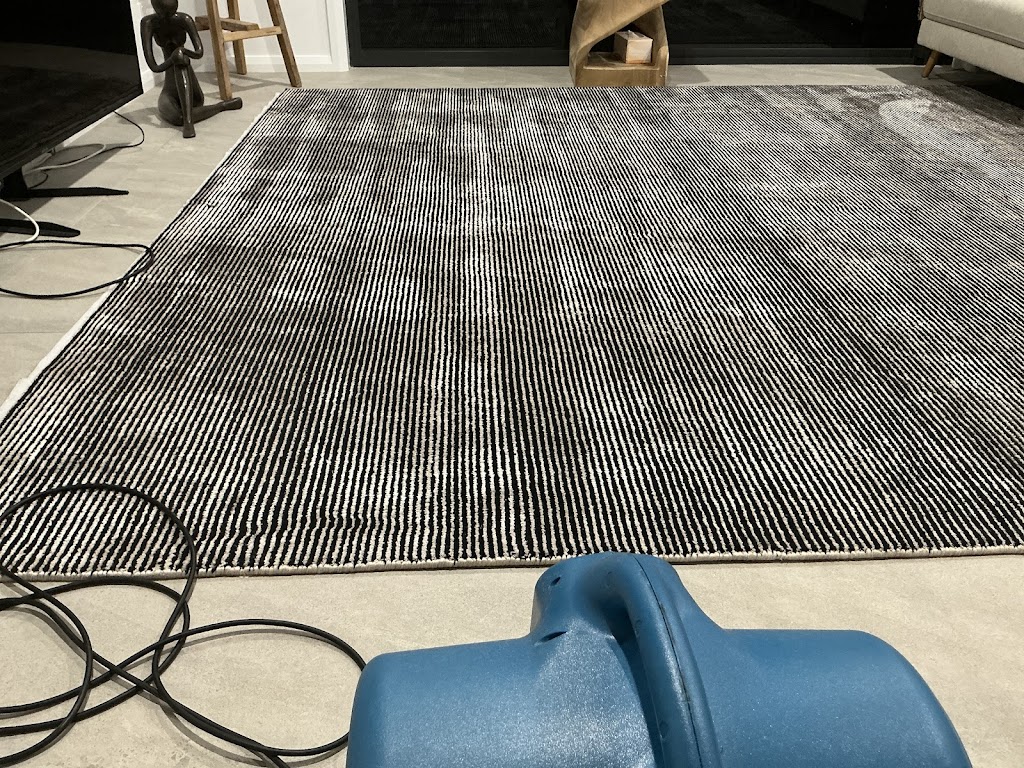 Chem-Dry Divine carpet cleaning | 55 Worcester Dr, East Maitland NSW 2323, Australia | Phone: 0434 426 965