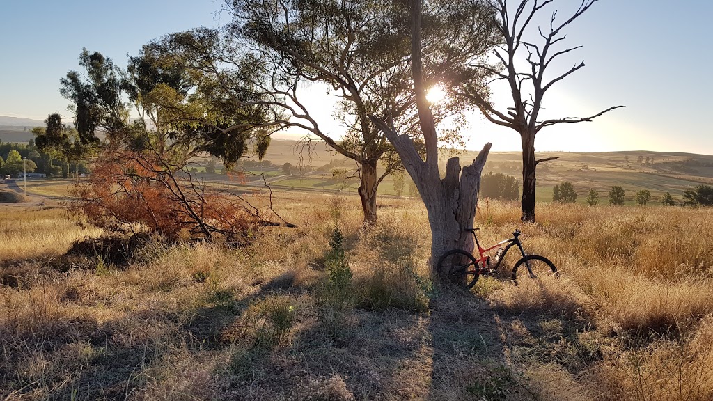 Bathurst Mountain Bike Park | park | 172/212 College Rd, Mount Panorama NSW 2795, Australia