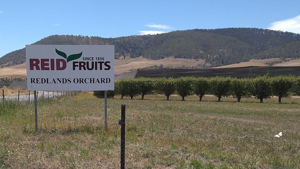 Reid Fruits | 810 Glenora Rd, Plenty TAS 7140, Australia | Phone: (03) 6261 5620