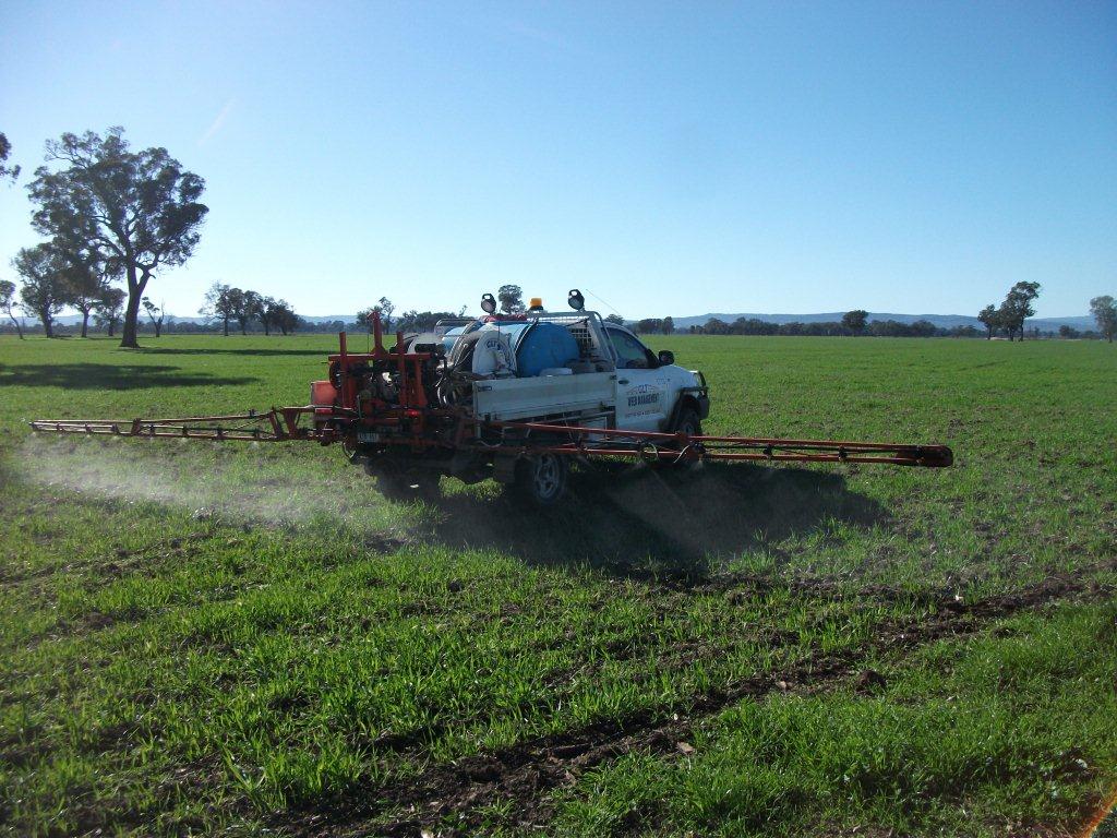 GLT Weed Management | 32 Browning St, Wangaratta VIC 3677, Australia | Phone: (03) 5721 8563